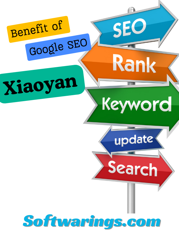 Google SEO Xiaoyan Services
